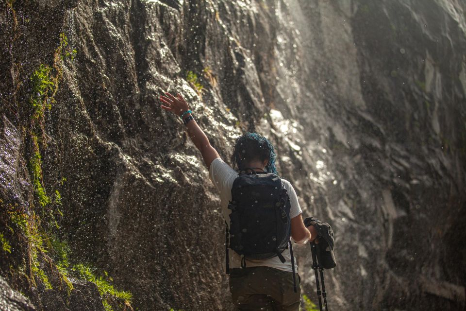 Yosemite High Country & Mariposa Grove Small-Group Tour - Frequently Asked Questions