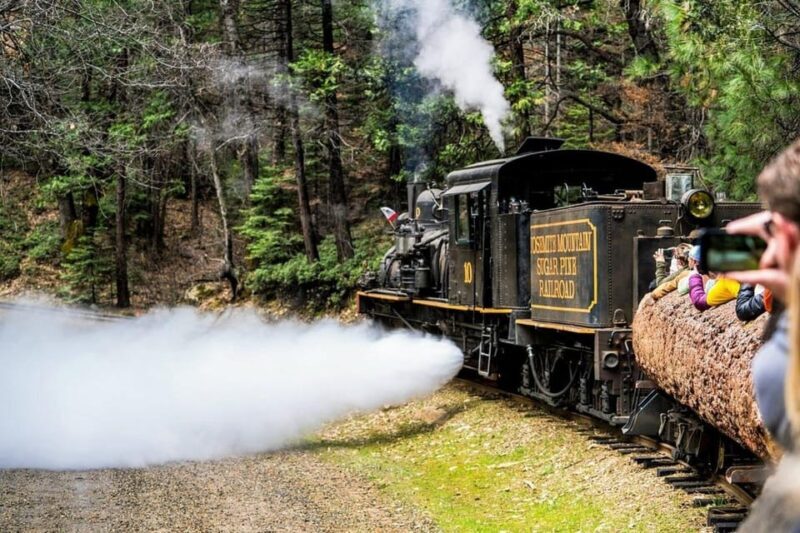 Yosemite Mountain Sugar Pine Railroad Ride with Narration - The Bottom Line