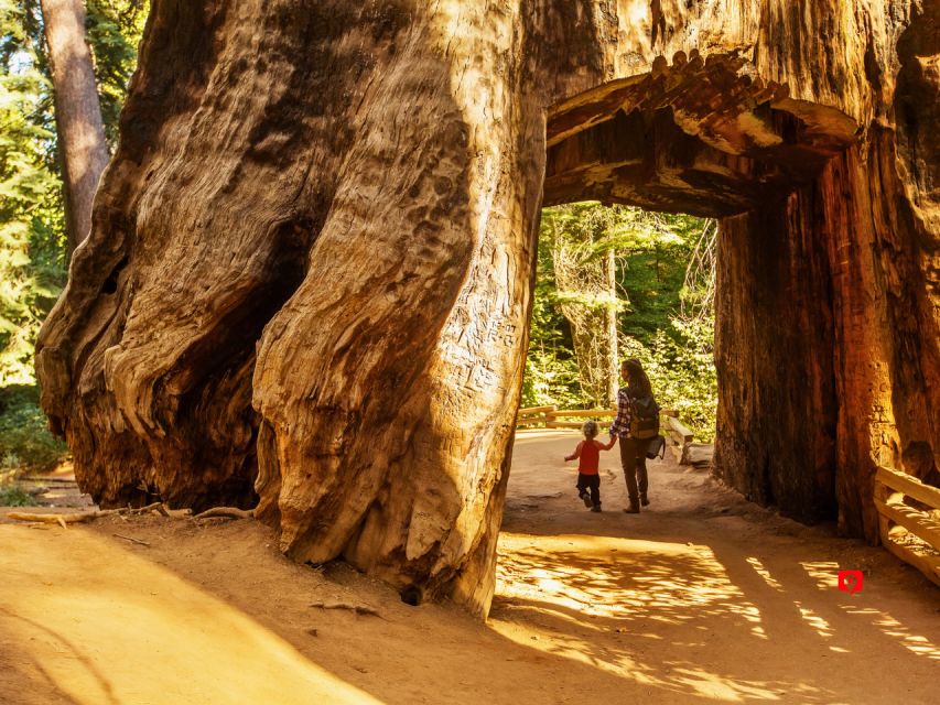 Yosemite National Park: Driving Tour - Included in the Tour