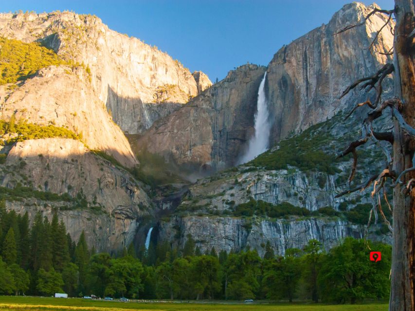 Yosemite National Park: Driving Tour - Meeting Point and Requirements