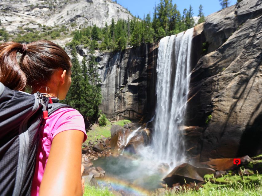 Yosemite National Park: Driving Tour - All-day Support and Assistance