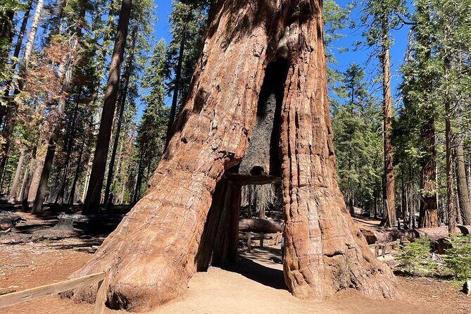 Yosemite National Park & Sequoias Private Tour from San Francisco - Introduction