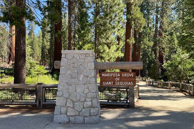 Yosemite National Park & Sequoias Private Tour from San Francisco - Key Points