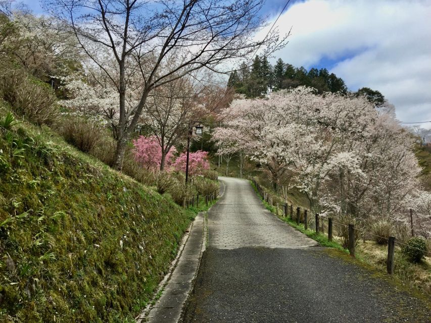 Yoshino: Private Guided Tour & Hiking in a Japanese Mountain - Yoshino Mikumari Jinja and Visits