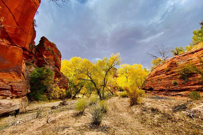 YOU DRIVE!! 4 Hr East Zion Guided UTV Tour - Key Points