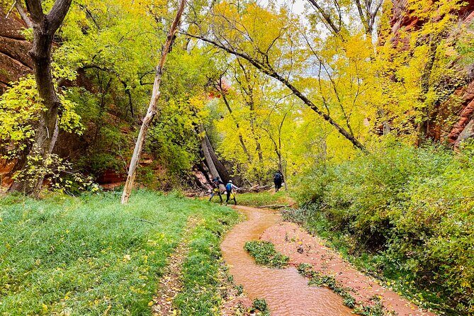 YOU DRIVE!! 4 Hr East Zion Guided UTV Tour - The Sum Up