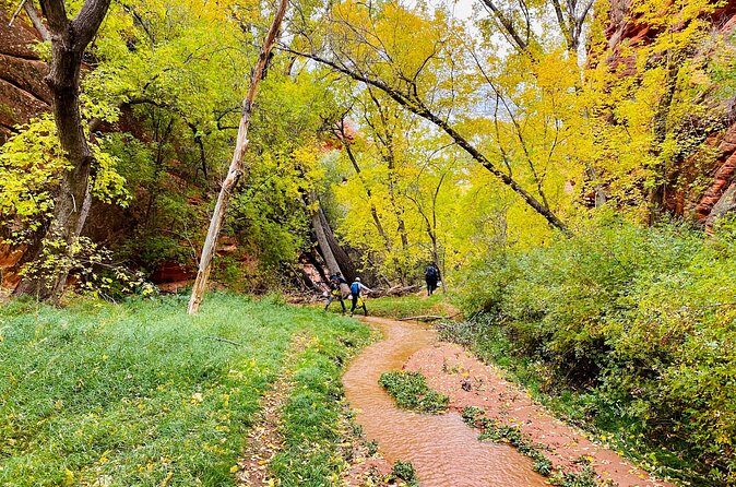 YOU DRIVE!! 4 Hr East Zion Guided UTV Tour - FAQ