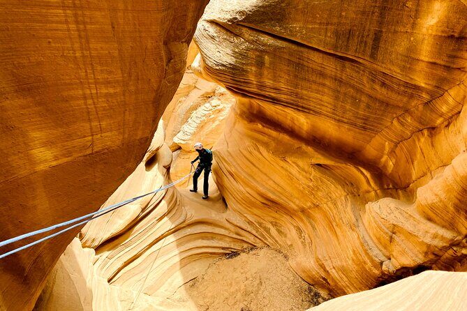 YOU DRIVE!! Rap & Ride - A Full Day of Rappelling and UTVs - FAQs