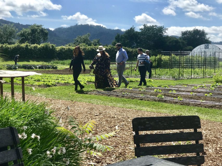 Yountville: Culinary Delights Food and Wine Tour - Booking Details
