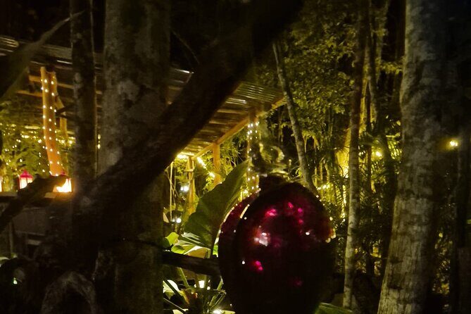 Your enchanting dining escape, awaits in a intimate Jungle haven - What to Expect from the Jungle Dinner Experience