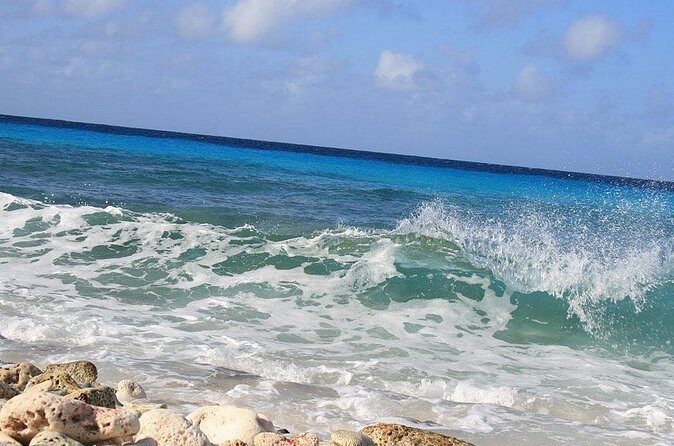 Your Guide Private Tour (North and South) Customize - Price and Overall Value  