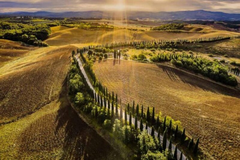 YOUR HONEYMOON IN TUSCANY: Private Chianti Wine Tasting Tour - Who It’s Best For