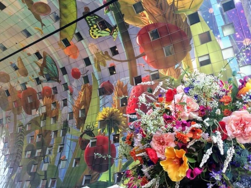 Your Own Holland. Rotterdam: Travel to the Future - Cultural Insights