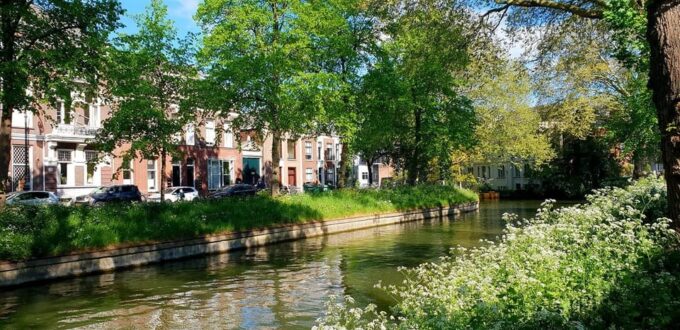 Your Own Utrecht. on a Quest for Mysteries and Treasures - Customer Experiences and Testimonials