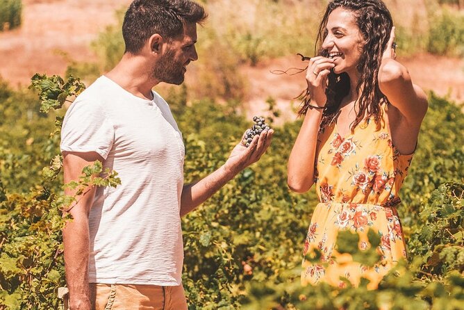 Your Private Driver & Chauffeur Service in Crete From Heraklion - Concierge Support and VIP Access