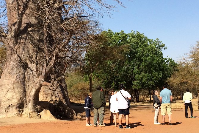 Your Private Driver & Tour Guide in Senegal-Reserve of Bandia - Reviews and Ratings