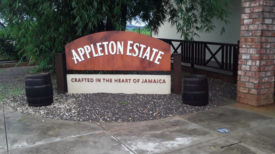 Ys Falls and Appleton Estate Private Tour - Guided Experience in English