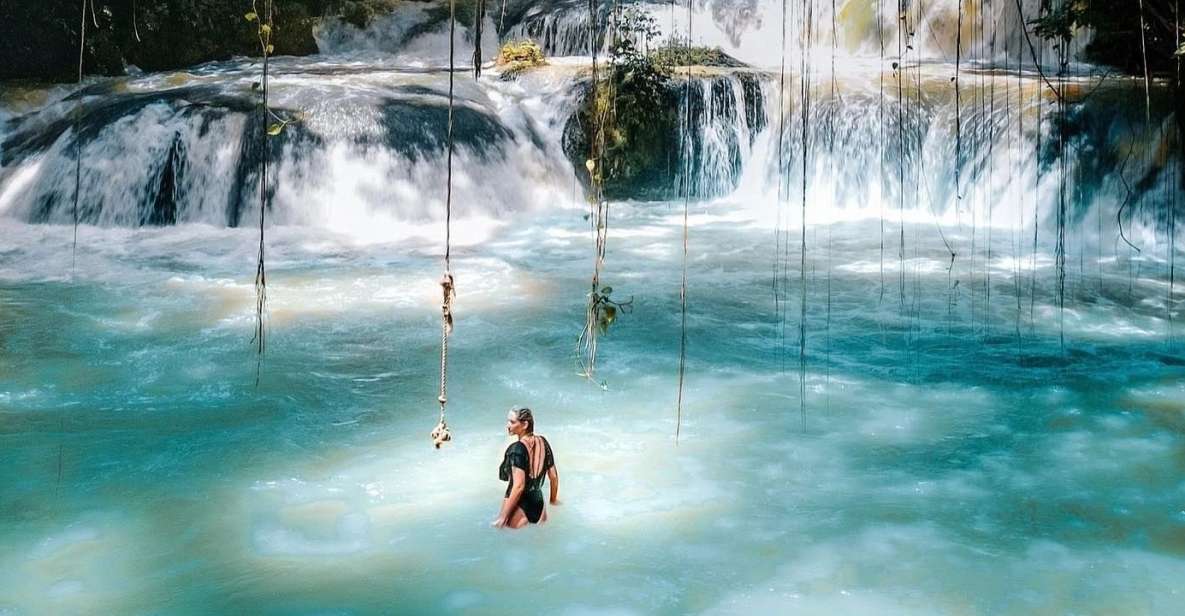 Ys Falls and Appleton Estate Private Tour - Private Group Exclusivity