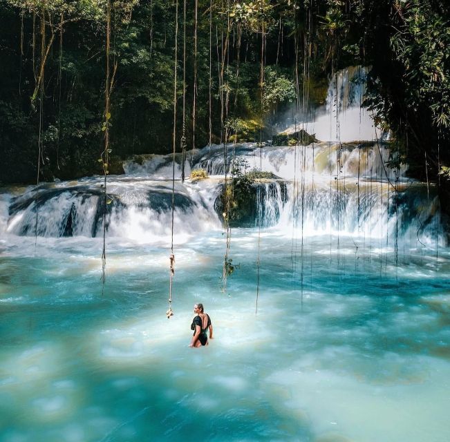 Ys Falls and Appleton Estate Private Tour - Packing and Cancellation Policy