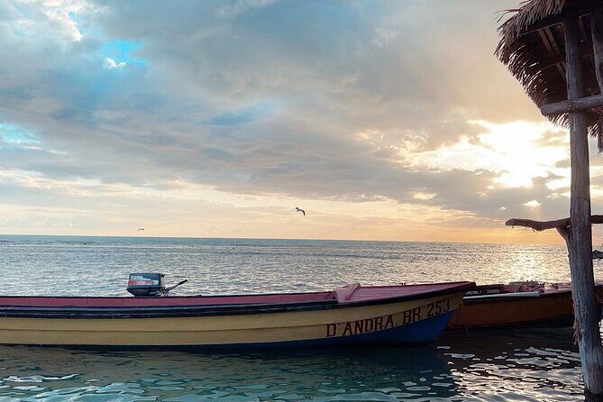 YS Falls and Black River Safari Including Pelican Bar Tour - Why This Tour Is Worth Considering