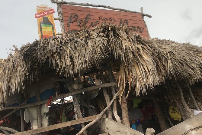 YS Falls and Black River Safari Including Pelican Bar Tour - The Sum Up