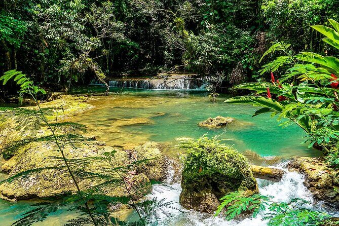 YS Falls and Black River Safari South Coast from Negril Jamaica - What Makes This Tour Stand Out