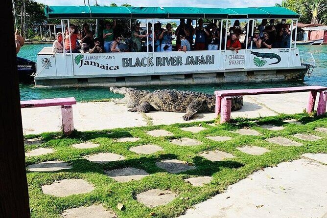 YS Falls and Black River Safari South Coast from Negril Jamaica - In The Sum Up