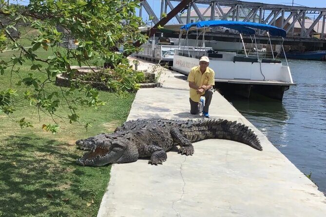 YS Falls and Black River Safari South Coast from Negril Jamaica - FAQ