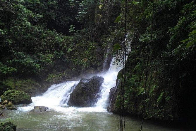 YS Falls and Sightseeing Tour Day Adventure - Why Choose This Tour?