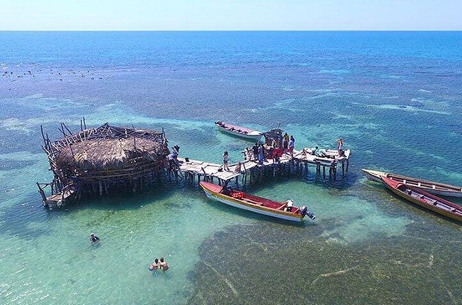 YS Falls and The Pelican Bar Adventure Tour from Montego Bay - Authentic Experiences and Review Insights