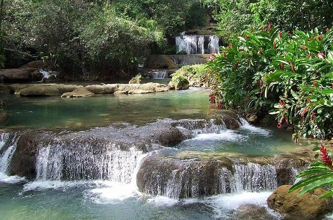 YS Falls and The Pelican Bar Adventure Tour from Montego Bay - The Sum Up: Who Will Love This Tour?