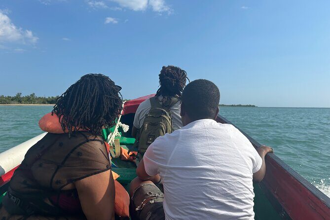 YS Falls and Zipline with Floyds Pelican Bar Full Day Tour - Who Will Enjoy This Tour?