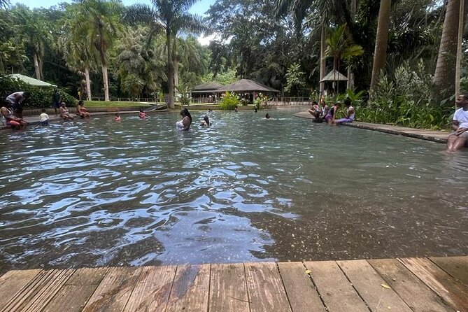 YS Falls, Black River Safari, Appleton Rum Tour OR Pelican Bar (Choose Up to 3) - Dining at Pelican Bar