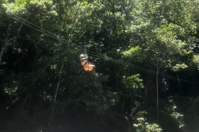 YS Falls, Black River Safari, Appleton Rum Tour OR Pelican Bar (Choose Up to 3) - Tour Details and Inclusions