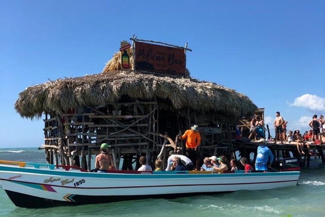 YS Falls, Black River Safari, Appleton Rum Tour OR Pelican Bar (Choose Up to 3) - Customer Reviews and Feedback