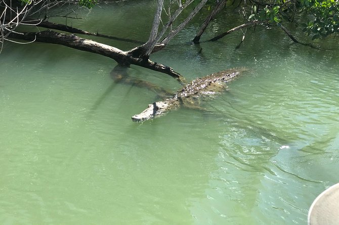 Ys Falls, Floyd's Pelican Bar, Black River Safari - Participation Guidelines
