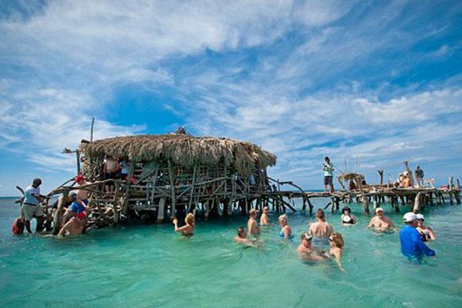 YS Falls, Pelican Bar, Horseback Ride/Swim Combo Tour with Lunch - A Closer Look at the Tour Experience