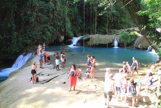 YS Falls Private Tour - Price and Booking
