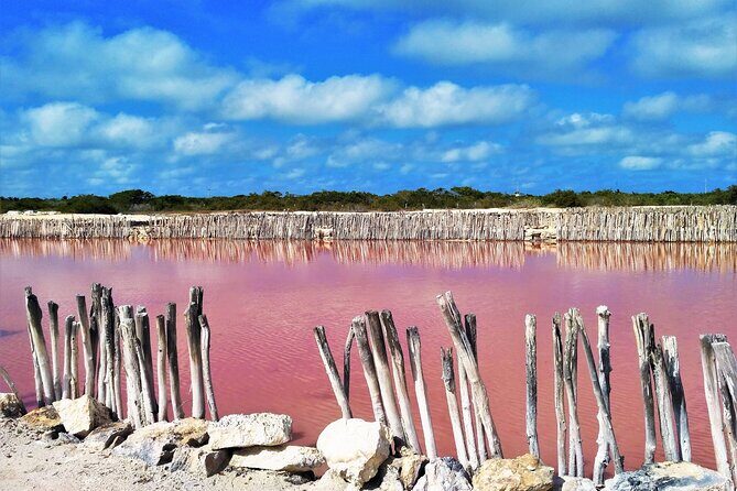 Yucatan Discovery: Motul, Hacienda, Xcambo, Xtampu & Progreso - Authentic Insights from Travelers