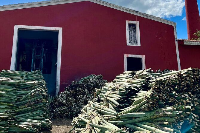 Yucatan Discovery: Motul, Hacienda, Xcambo, Xtampu & Progreso - Final Thoughts