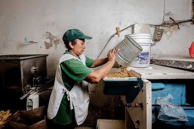 Yucatán Flavours Food Tour with 15+ Tastings - A Closer Look at the Experience