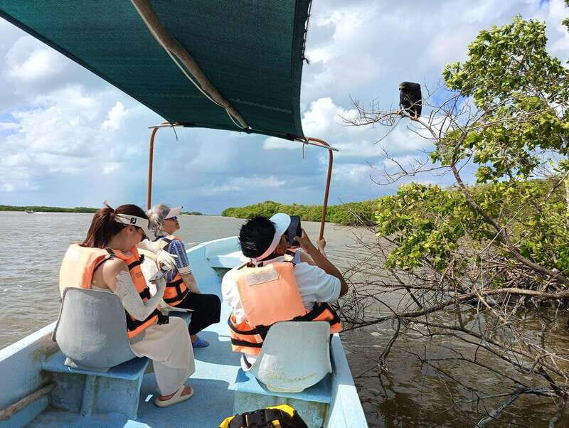 Yucatán: Río Lagartos Biosphere Reserve Boat Tour - Key Points