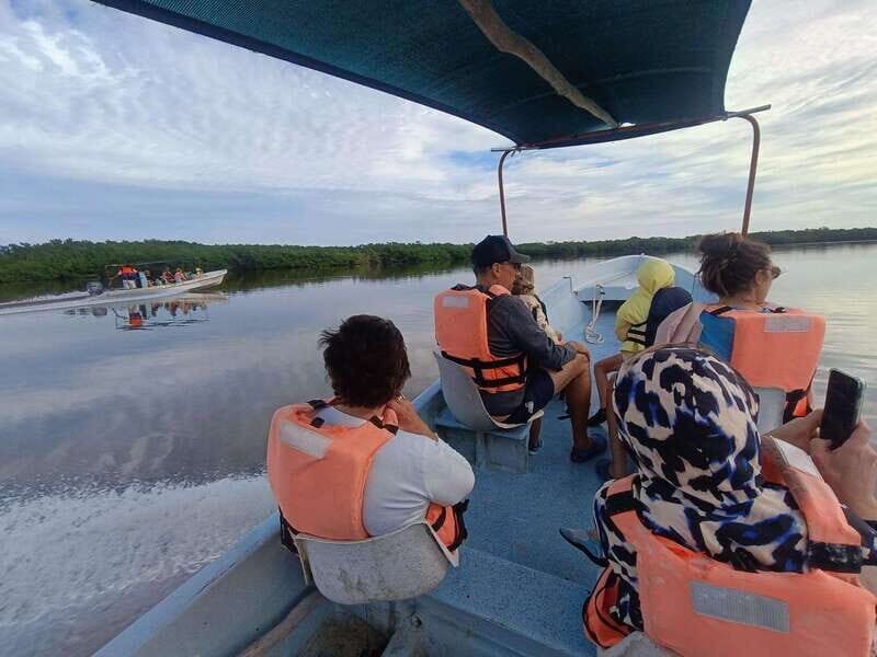 Yucatán: Río Lagartos Biosphere Reserve Boat Tour - Frequently Asked Questions