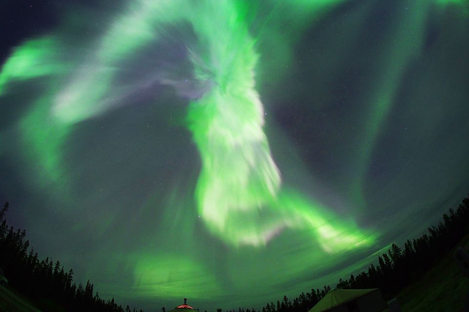 Yukon: Aurora Borealis Late Night Viewing Tour - Snacks and Beverages