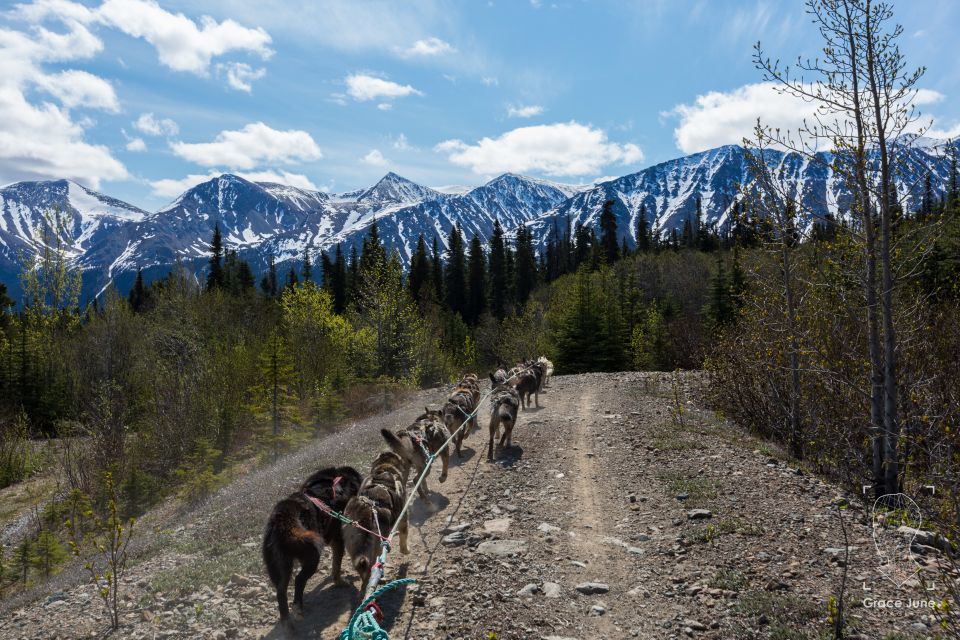 Yukon Dogs and Gold - Passport Requirement