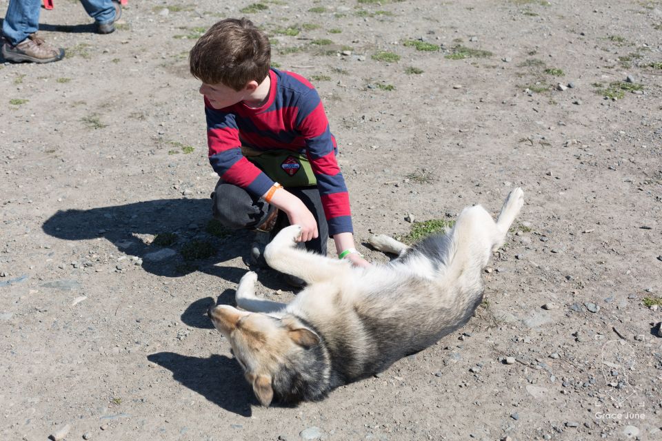 Yukon Dogs and Gold - Frequently Asked Questions