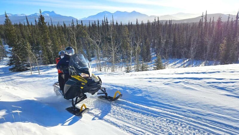 Yukon: Half-Day Snowmobile Tour - Authentic Insights from Travelers