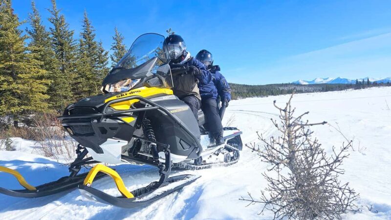 Yukon: Half-Day Snowmobile Tour - The Practicalities: Booking, Cancellation, and Preparation