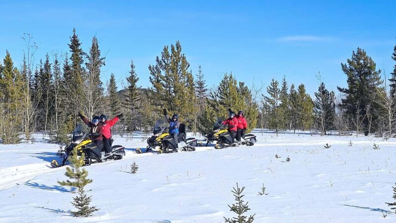 Yukon: Half-Day Snowmobile Tour - The Sum Up: Is the Yukon Snowmobile Tour Right for You?