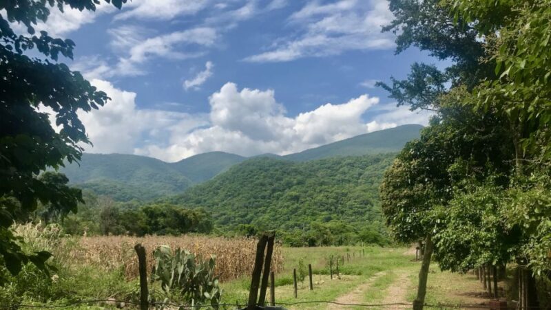 Yungas: Full Day With Gauchos - Inclusions for Participants